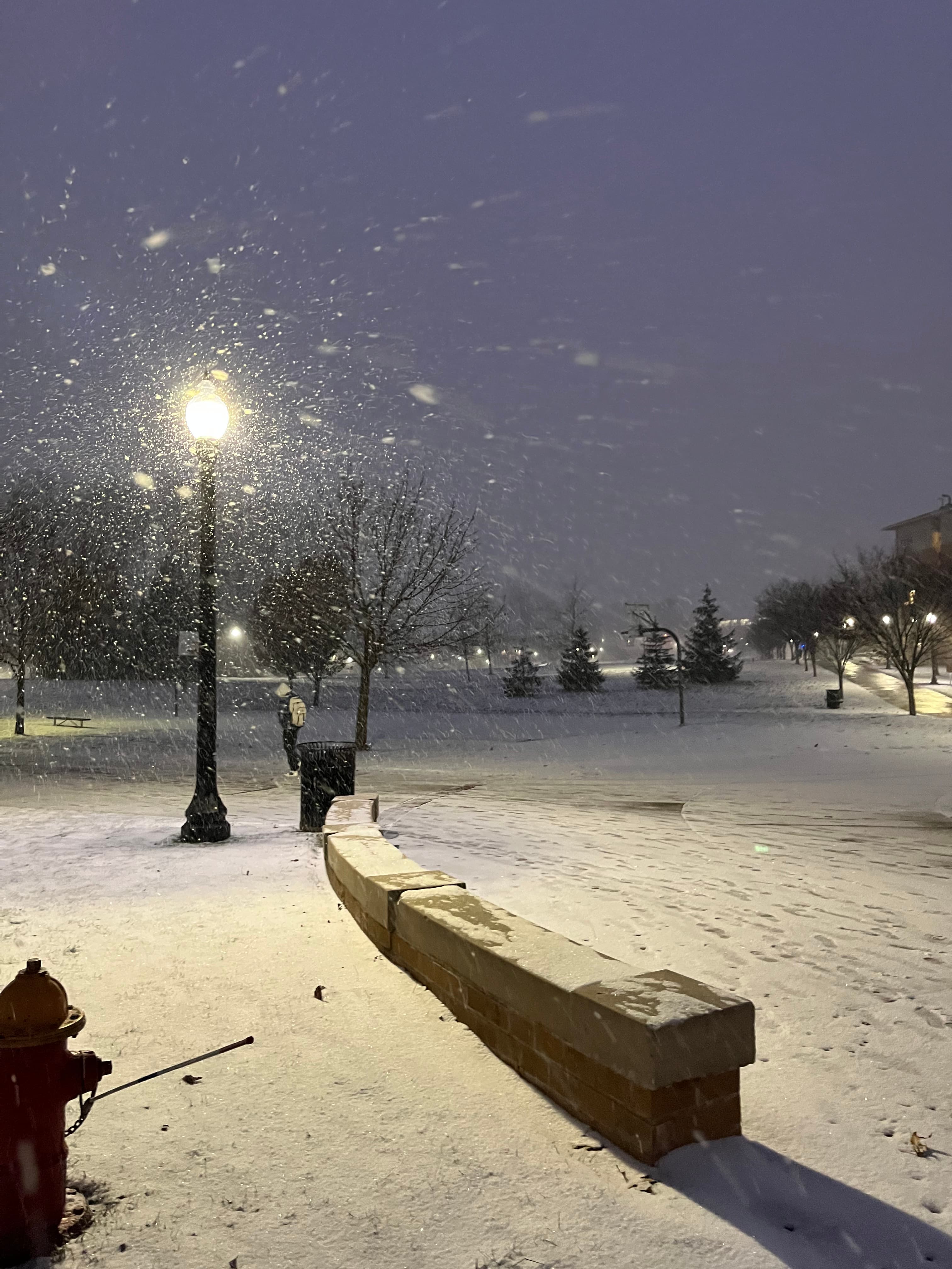 snowy night